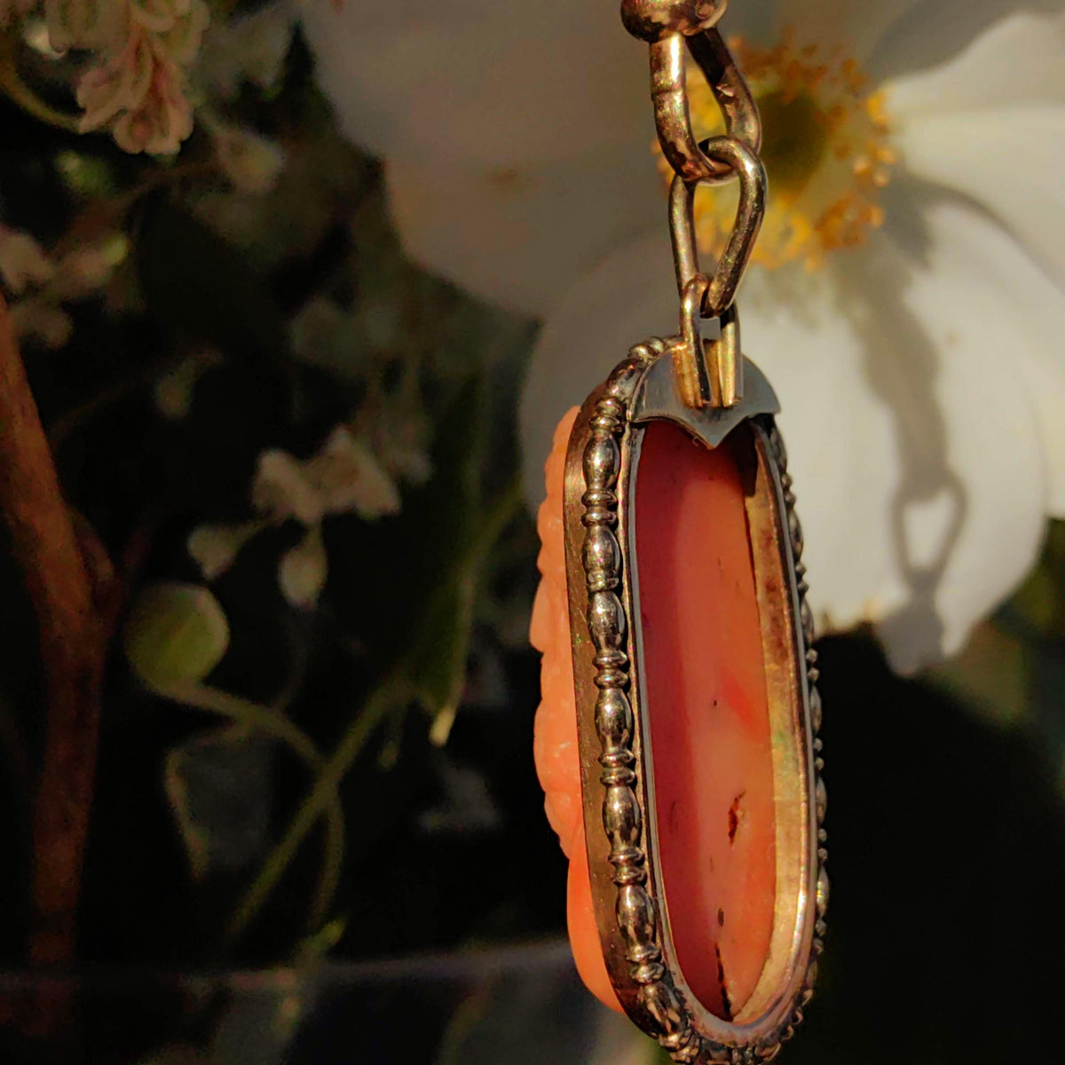 Victorian Coral Cameo Pendant: Hand Carved Gemma, 14k Gold