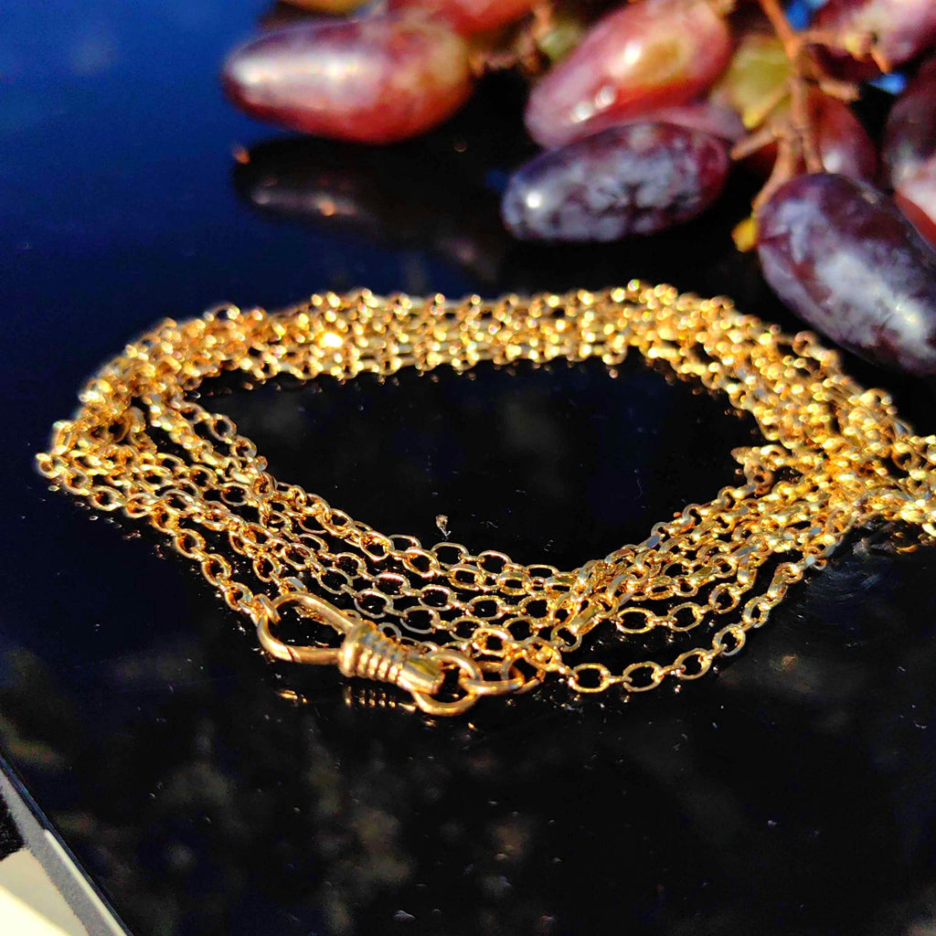 Vintage Gold Plated Long Chain: Handmade Dog Clip Closure