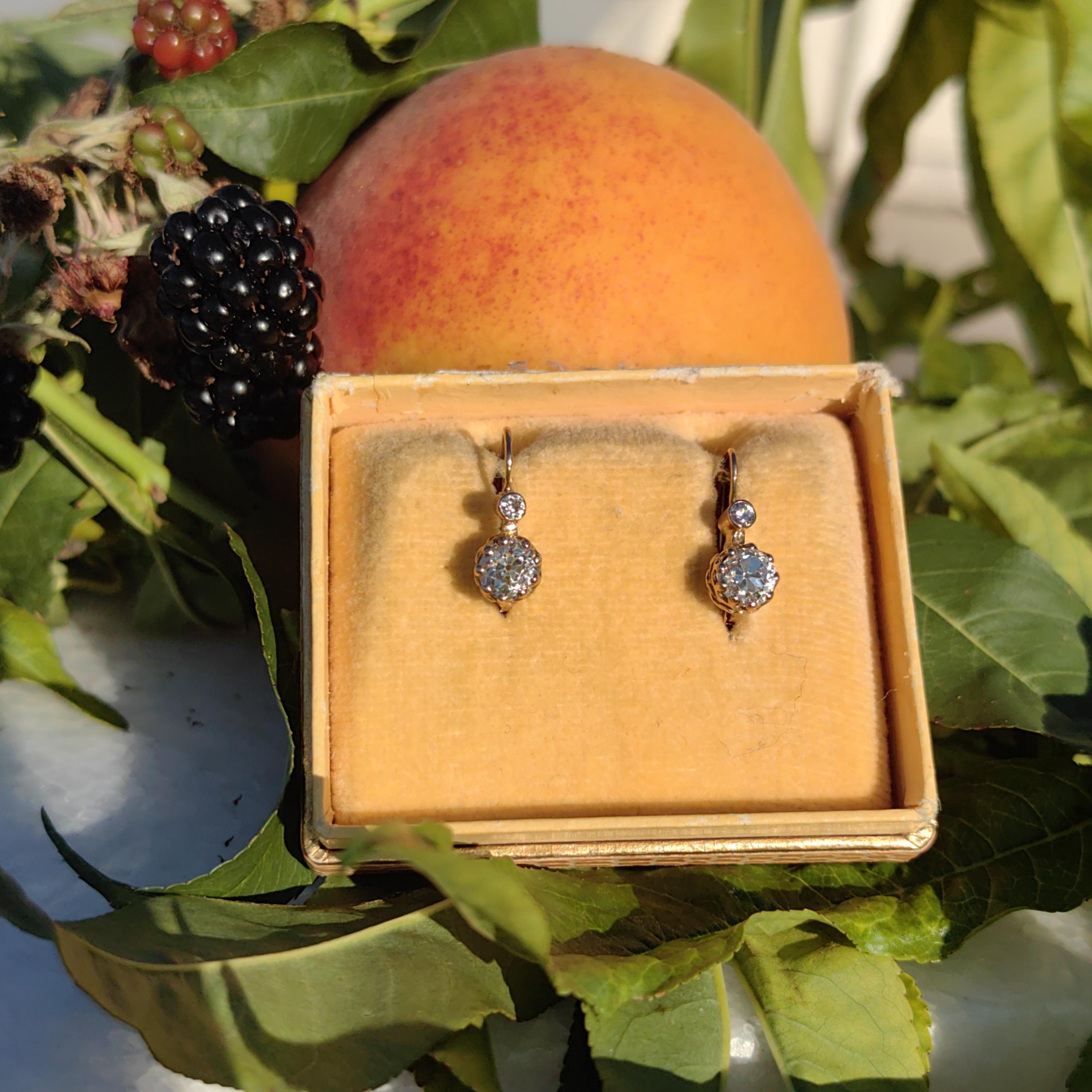 1880s Victorian 14K Champagne Gold Diamond Sleeper Earrings: Antique Dormeuse