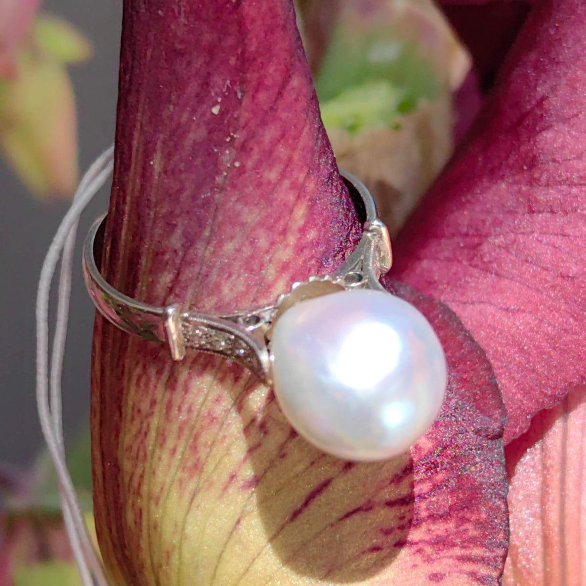 1940s Pearl Diamond Ring: Antique 18k White Gold, Size 6.5