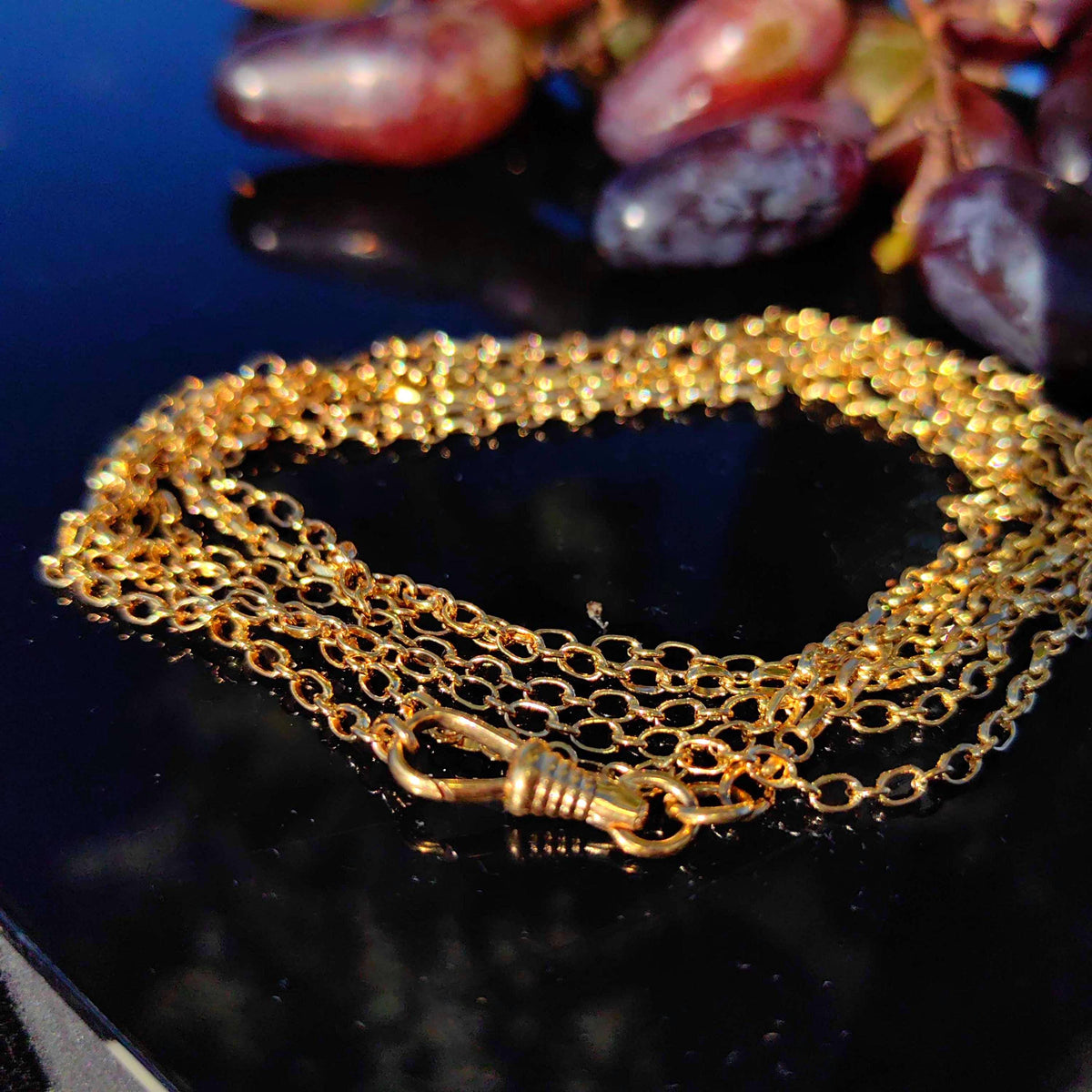 Vintage Gold Plated Long Chain: Handmade Dog Clip Closure