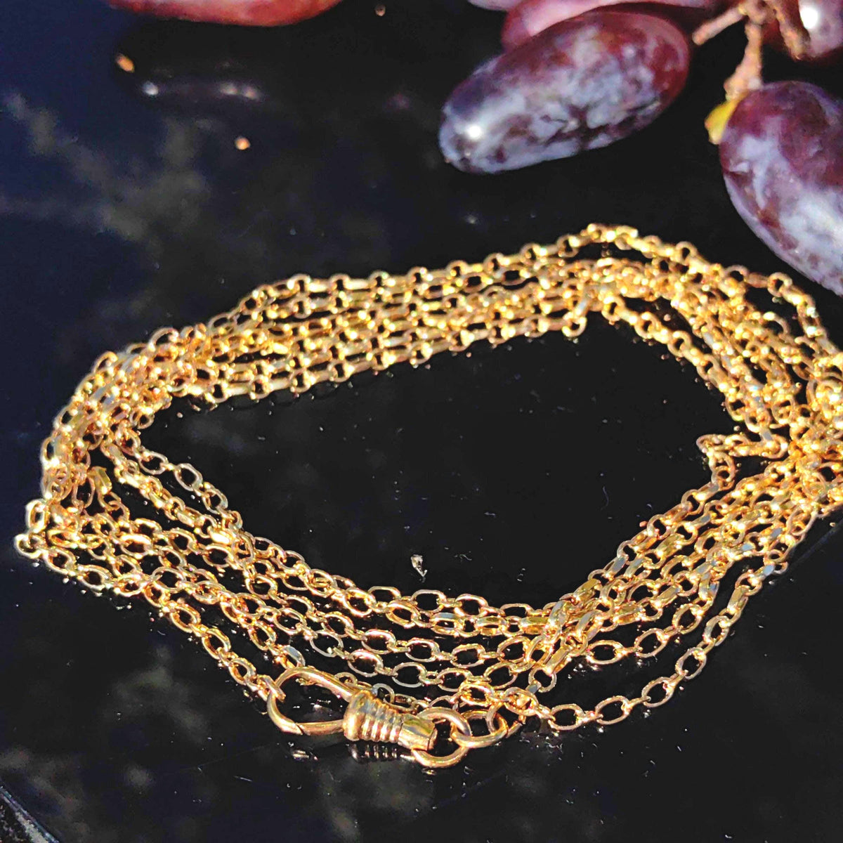 Vintage Gold Plated Long Chain: Handmade Dog Clip Closure