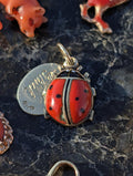 1910s Austro Hungarian 14k Gold Enamel Ladybird Locket Pendant Good Luck Charm Antique HTS 9706 — photo 1