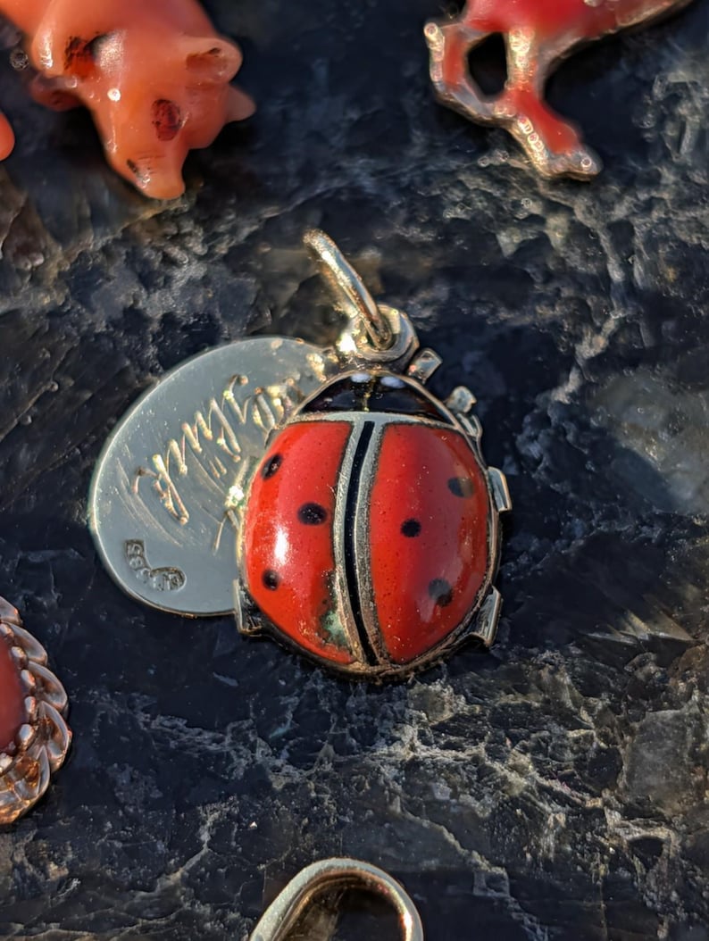 1910s Austro Hungarian 14k Gold Enamel Ladybird Locket Pendant Good Luck Charm Antique HTS 9706 — photo 1