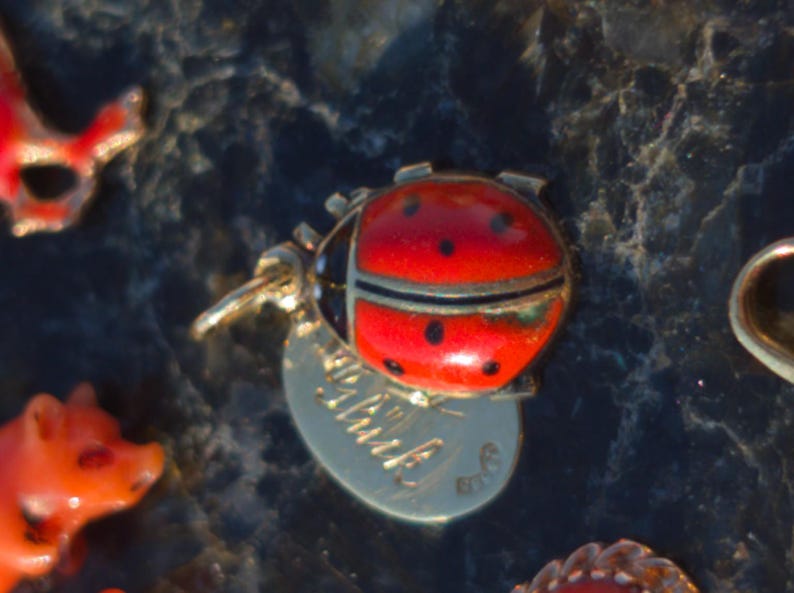1910s Austro Hungarian 14k Gold Enamel Ladybird Locket Pendant Good Luck Charm Antique HTS 9706 — photo 2