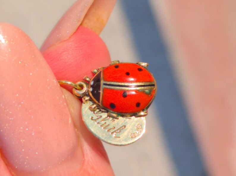 1910s Austro Hungarian 14k Gold Enamel Ladybird Locket Pendant Good Luck Charm Antique HTS 9706 — photo 4
