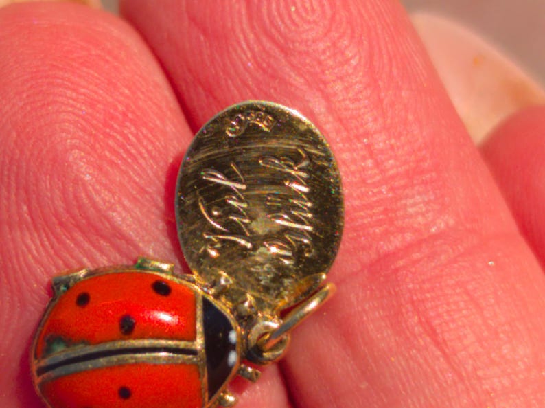 1910s Austro Hungarian 14k Gold Enamel Ladybird Locket Pendant Good Luck Charm Antique HTS 9706 — photo 7