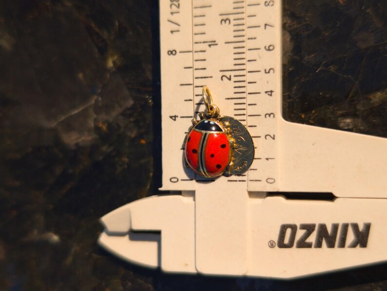 1910s Austro Hungarian 14k Gold Enamel Ladybird Locket Pendant Good Luck Charm Antique HTS 9706 — photo 9