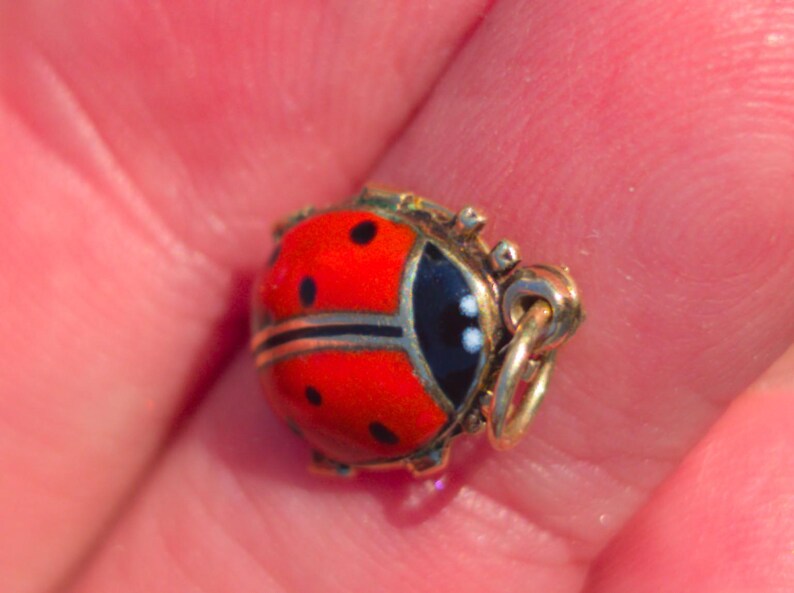 1910s Austro Hungarian 14k Gold Enamel Ladybird Locket Pendant Good Luck Charm Antique HTS 9706 — photo 10