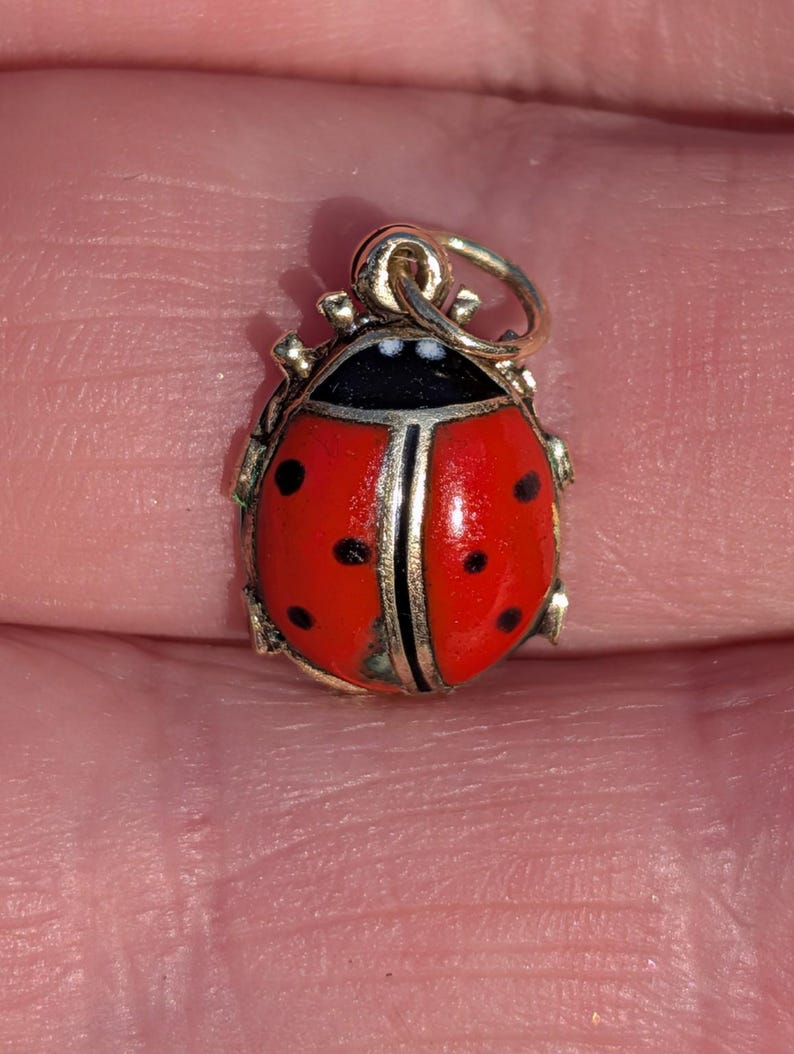 1910s Austro Hungarian 14k Gold Enamel Ladybird Locket Pendant Good Luck Charm Antique HTS 9706 — photo 12