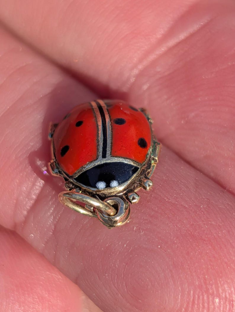 1910s Austro Hungarian 14k Gold Enamel Ladybird Locket Pendant Good Luck Charm Antique HTS 9706 — photo 14