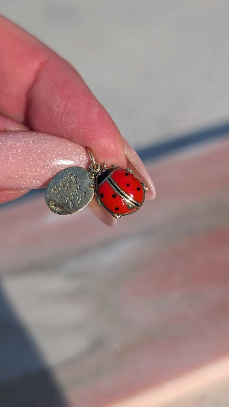 1910s Austro Hungarian 14k Gold Enamel Ladybird Locket Pendant Good Luck Charm Antique HTS 9706 — photo 15