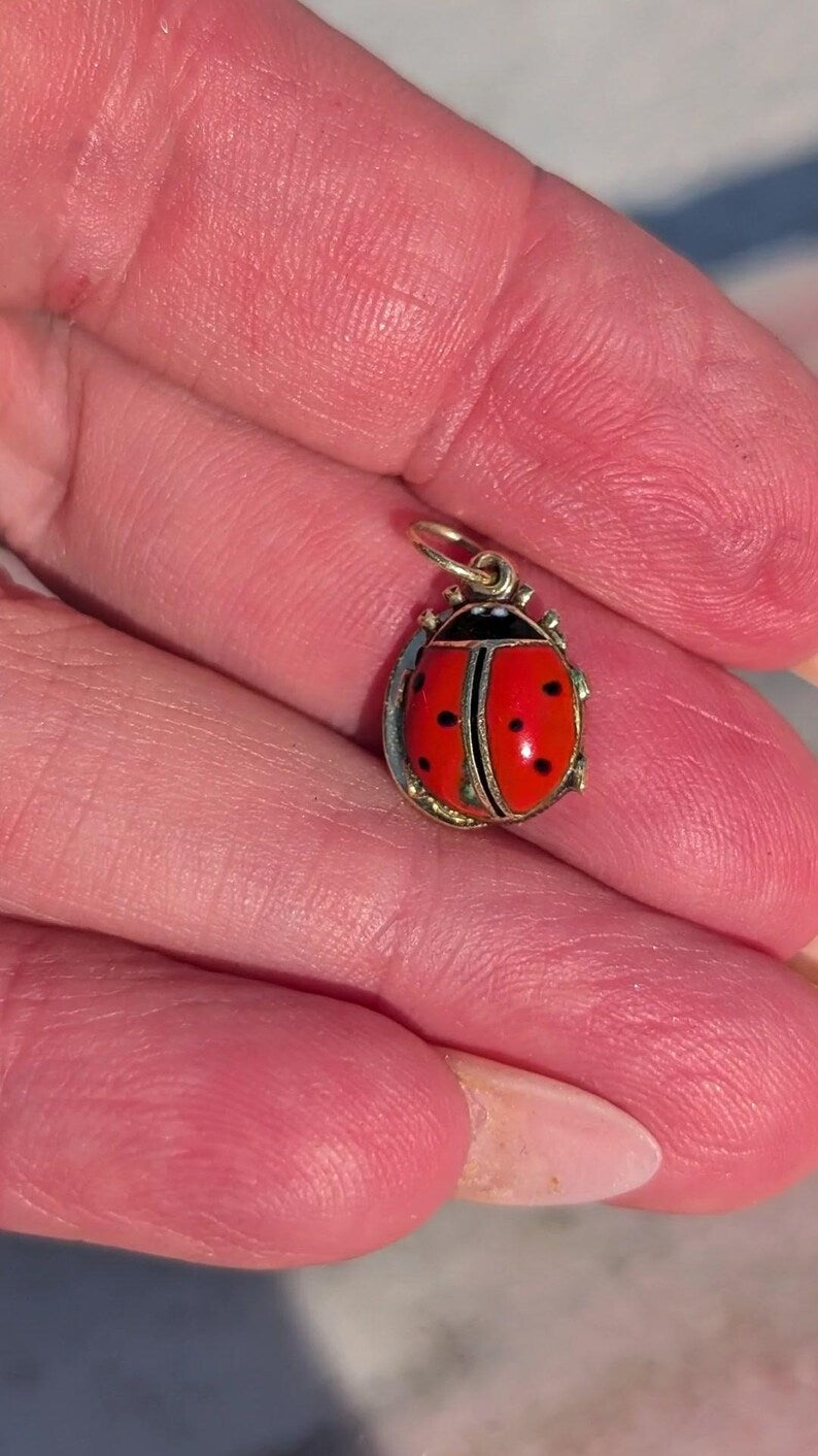 1910s Austro Hungarian 14k Gold Enamel Ladybird Locket Pendant Good Luck Charm Antique HTS 9706 — photo 17