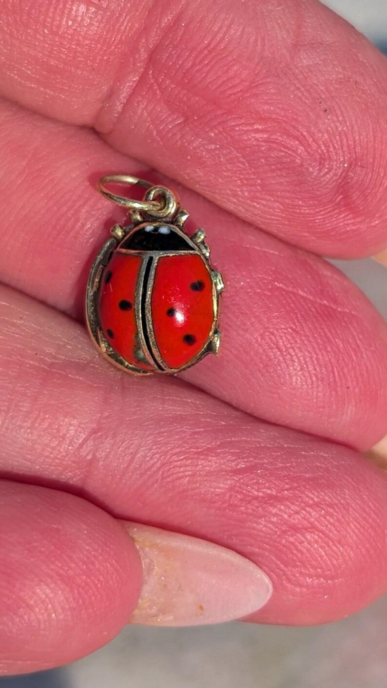 1910s Austro Hungarian 14k Gold Enamel Ladybird Locket Pendant Good Luck Charm Antique HTS 9706 — photo 18