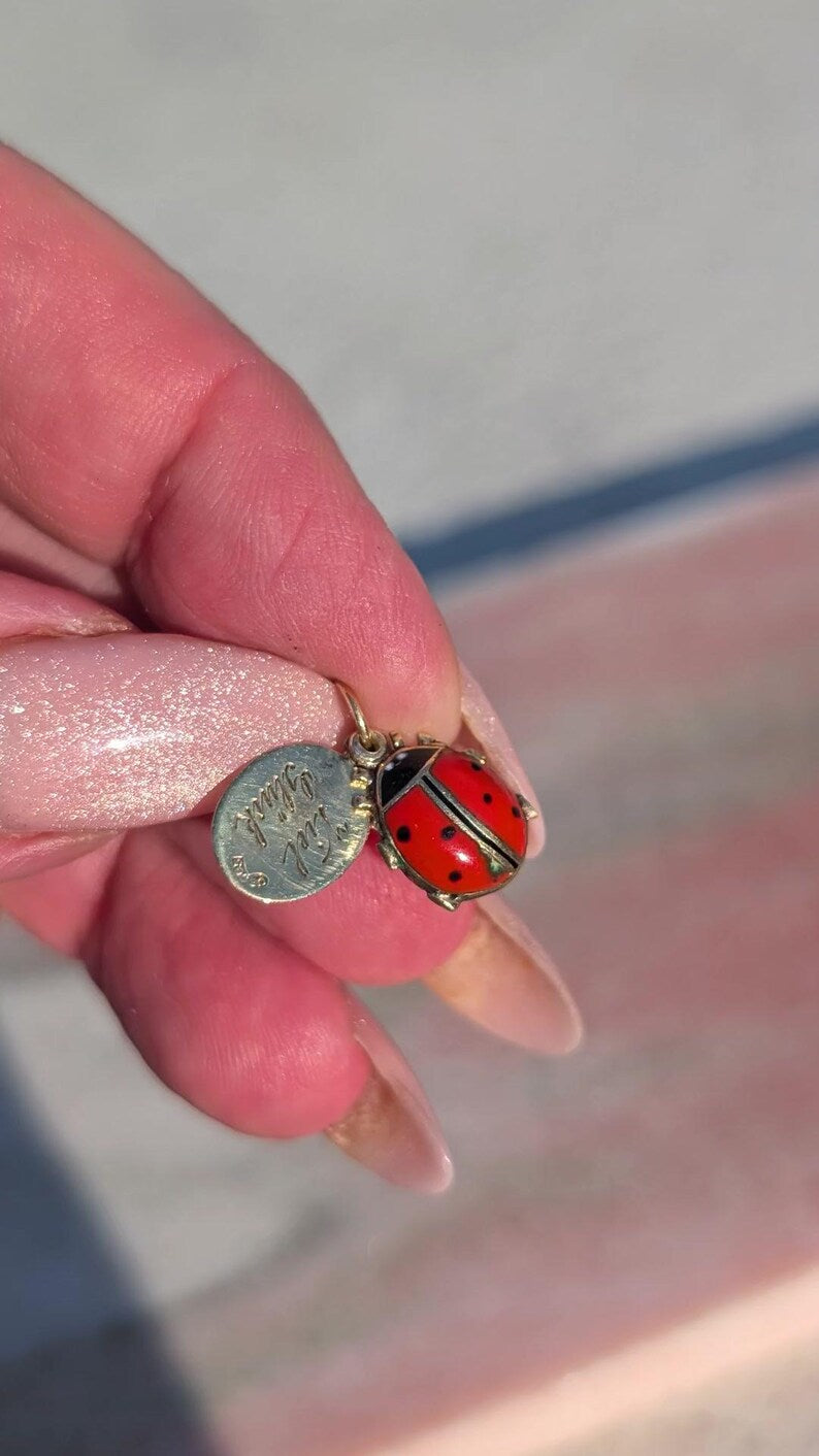 1910s Austro Hungarian 14k Gold Enamel Ladybird Locket Pendant Good Luck Charm Antique HTS 9706 — photo 20