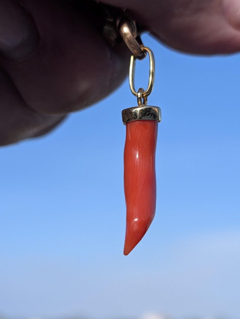Mid Century Natural Untreated Mediterranean Coral Horn Pendant 18k Solid Yellow Gold Hungarian Import Hallmark 37.5mm Good Luck Charm — photo 5