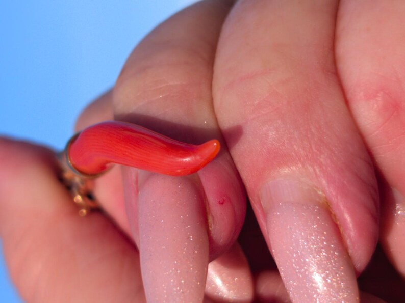 Mid Century Natural Untreated Mediterranean Coral Horn Pendant 18k Solid Yellow Gold Hungarian Import Hallmark 37.5mm Good Luck Charm — photo 6