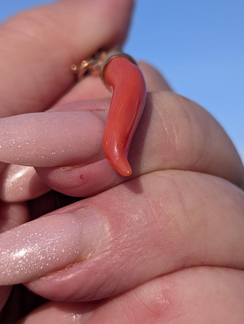 Mid Century Natural Untreated Mediterranean Coral Horn Pendant 18k Solid Yellow Gold Hungarian Import Hallmark 37.5mm Good Luck Charm — photo 7