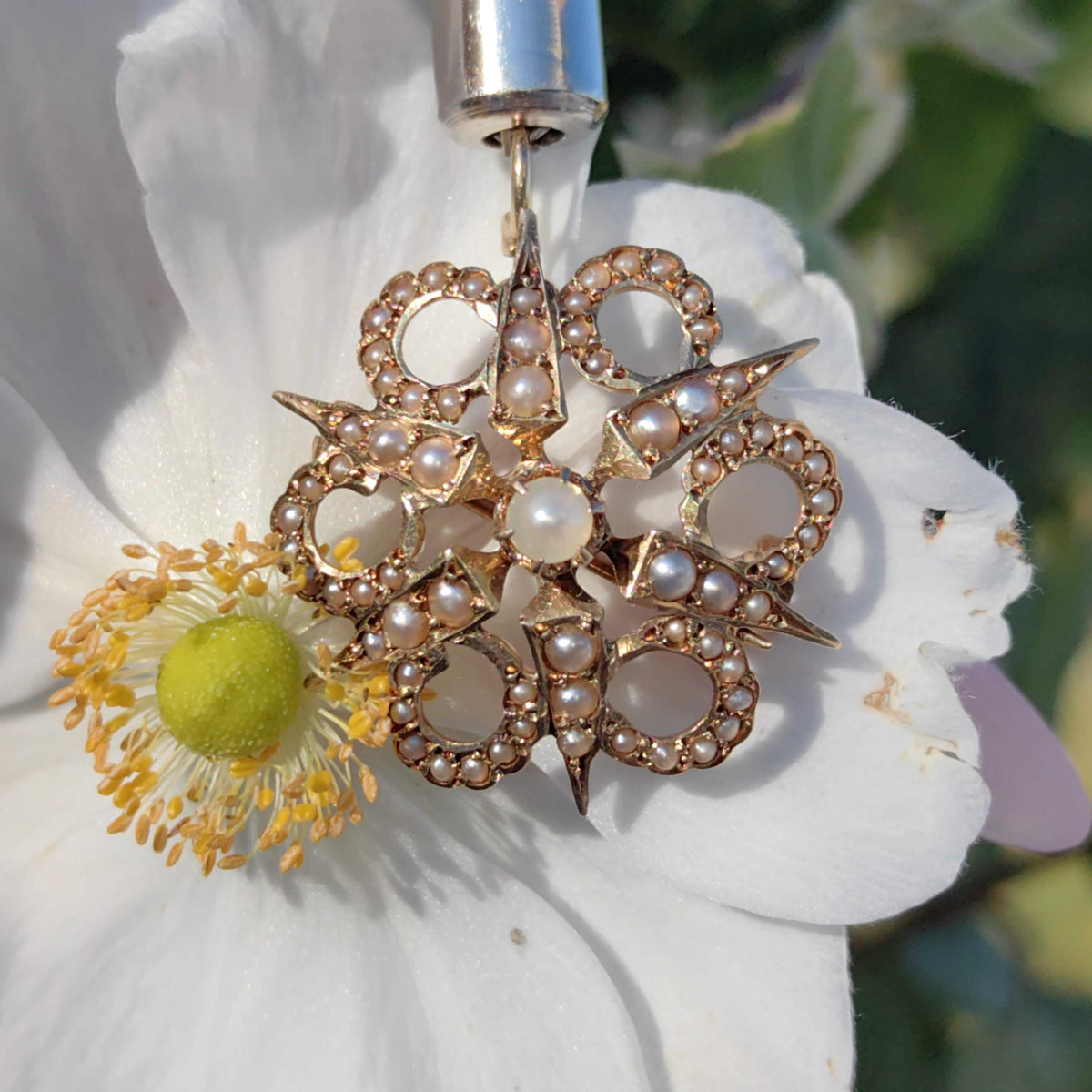 Victorian Pearl Star Pendant Brooch: 14K Yellow Gold Antique Jewelry