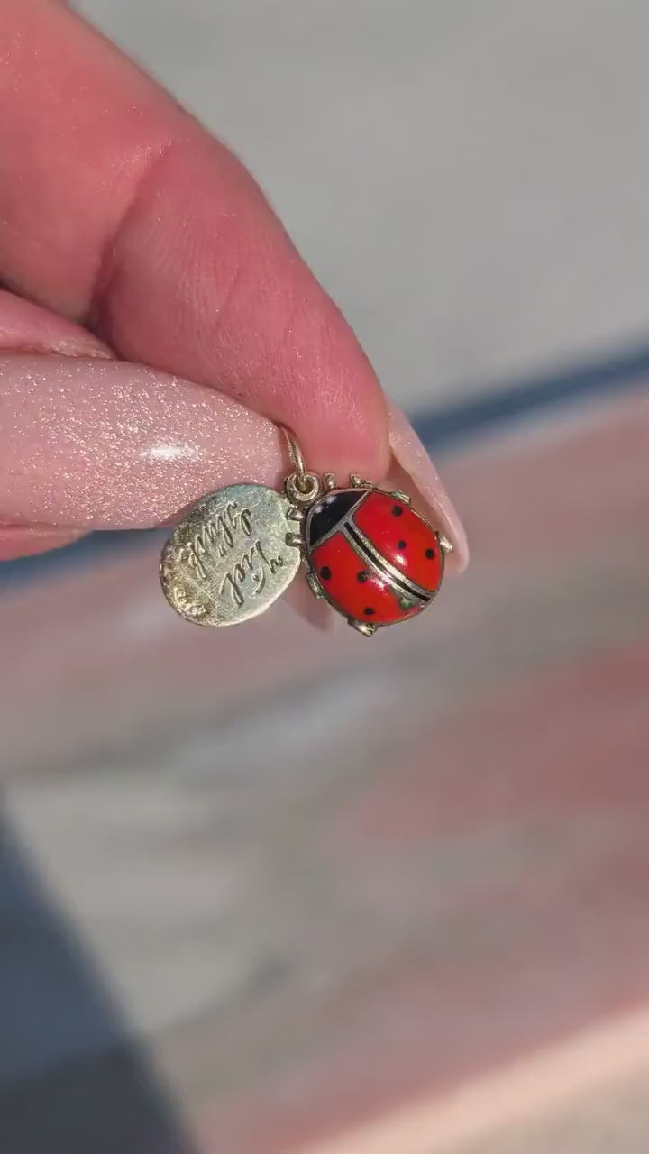 Etsy 4584272703 video 1